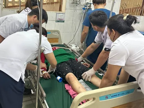 Cứu sống người phụ nữ ngộ độc lá ngón