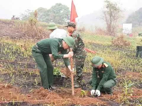 Bộ đội Điện Biên xuống đồng, chung tay cùng người dân trồng cà phê, mắc ca