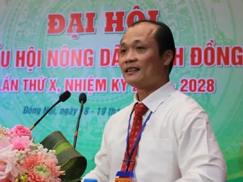 Đồng Nai bầu Phó Chủ tịch tỉnh