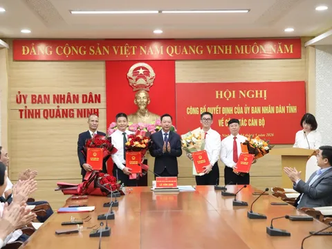 Điều động, bổ nhiệm loạt nhân sự lãnh đạo mới tại TP. HCM và Quảng Ninh