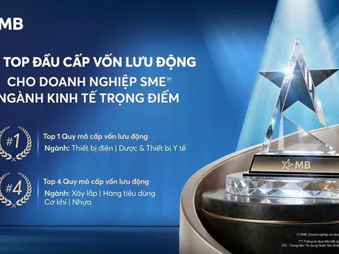 MB – Ngân hàng  top đầu Cấp vốn lưu động cho doanh nghiệp SME thuộc ngành kinh tế trọng điểm