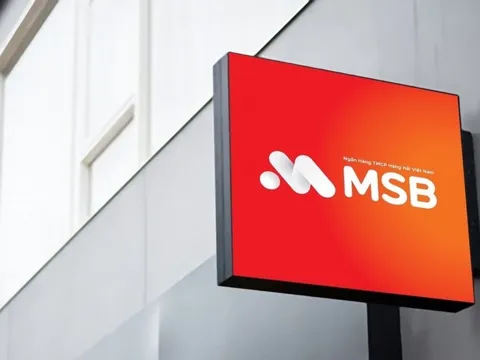 MSB Thái Nguyên còn nhiều tồn tại trong hoạt động tín dụng, bị phạt 50 triệu