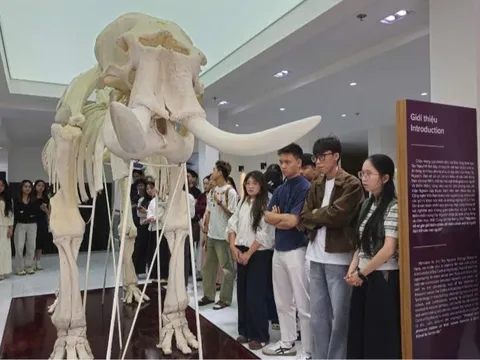 Hành trình từ giảng đường đến thực tiễn: Khát vọng định hình giá trị tri thức tương lai