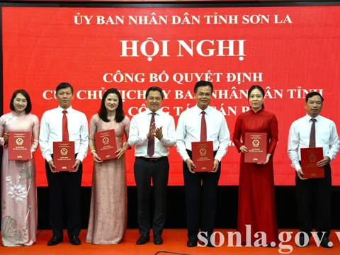 Cần Thơ, Sơn La điều động, bổ nhiệm nhân sự lãnh đạo mới