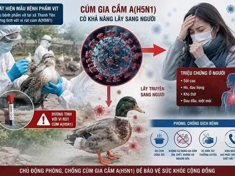 Phát hiện vi-rút cúm A(H5N1) trên đàn vịt, Điện Biên khẩn trương siết chặt phòng dịch