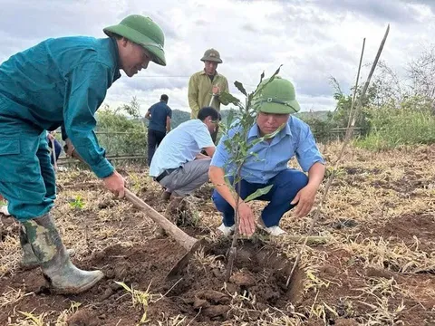 Tìa Dình đẩy mạnh phát triển cà‑phê, mắc‑ca, tạo động lực giảm nghèo bền vững
