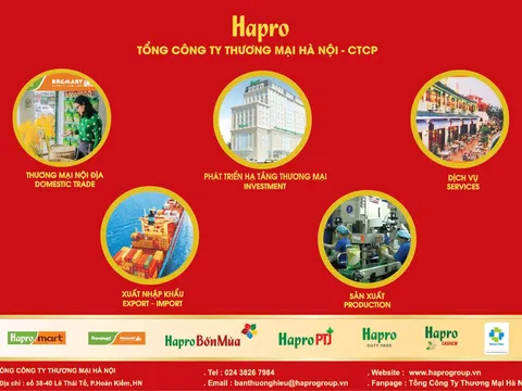 Gạo Hapro Đồng Tháp – Nâng tầm hạt ngọc Việt