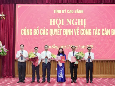Quảng Ninh, Sơn La, Cao Bằng kiện toàn nhân sự, điều động bổ nhiệm cán bộ chủ chốt