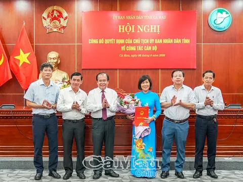Kiện toàn nhân sự chủ chốt, bổ nhiệm lãnh đạo mới tại Hà Tĩnh và Cà Mau