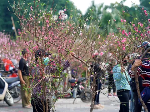 Dự kiến Tết Đinh Mùi nghỉ từ 28 tháng Chạp