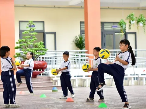 TP. HCM tái cấu trúc mạng lưới trường học, gần 100 cơ sở mang tên mới