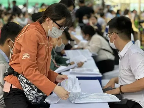 TP.HCM tăng tốc kết nối việc làm khi số người đề nghị hưởng trợ cấp thất nghiệp tăng