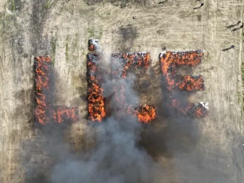 Cả thị trấn 'phê thuốc' vì cảnh sát tiêu hủy cần sa