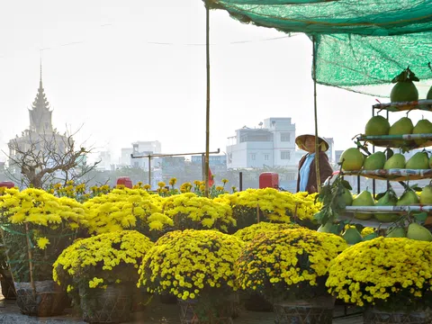 Cần Thơ hội tụ hoa xuân