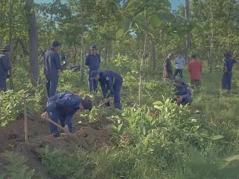 Tỉnh Đồng Tháp: Tìm kiếm, quy tập 296 hài cốt liệt sĩ