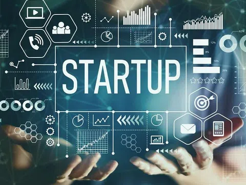 Lựa chọn tập đoàn lớn hay doanh nghiệp startup khi ra trường?