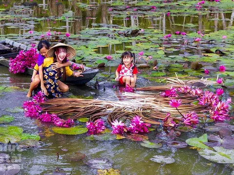 Theo mẹ hái rau đồng