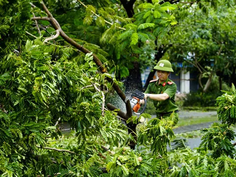 Công an phường Nại Hiên Đông ra quân giúp dân khắc phục hậu quả sau bão Noru