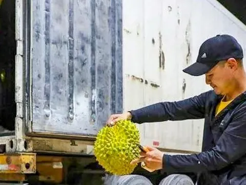 Hàng hóa thông quan Cửa khẩu Hữu Nghị Quan biên giới Việt - Trung mỗi ngày một sôi động hơn