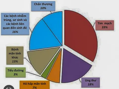 Ngành Dược phẩm Việt Nam, thách thức và cơ hội