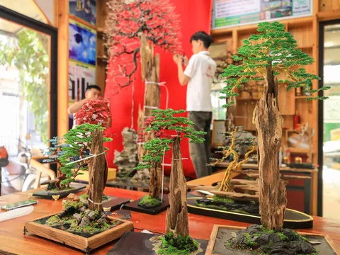 Tuyệt tác Trầm hương Bonsai xứ Quảng