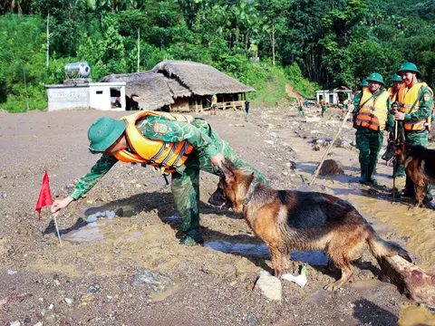 Bộ đội Biên phòng Việt Nam xuất quân khuyển tìm kiếm nạn nhân bị lũ quét