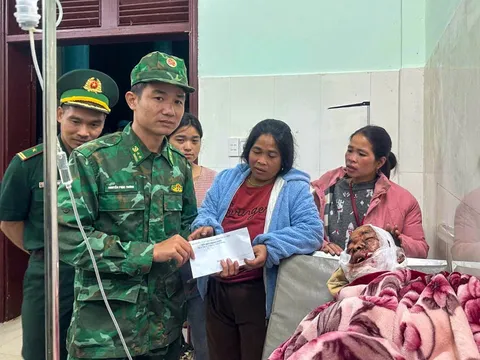 Một người dân bị gấu tấn công khi đi rẫy