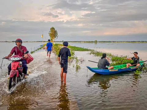 Mênh mang mùa nước nổi miền Tây