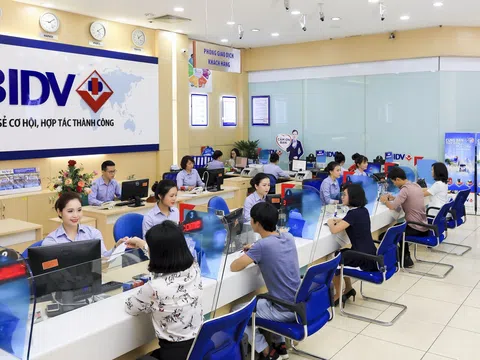 Dự thảo Thông tư quy định mã số, tiêu chuẩn chuyên môn, nghiệp vụ và xếp lương đối với ngạch công chức chuyên ngành ngân hàng.