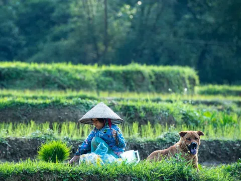 Ngày hè của những đứa bé vùng cao