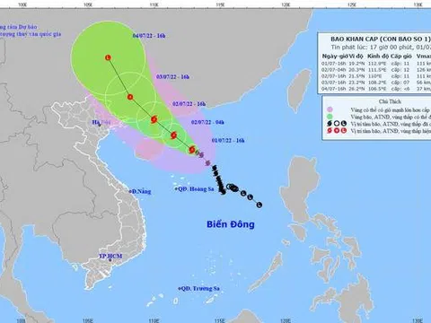 Công điện của Thủ tướng Chính phủ yêu cầu tập trung ứng phó bão số 1 và mưa lũ