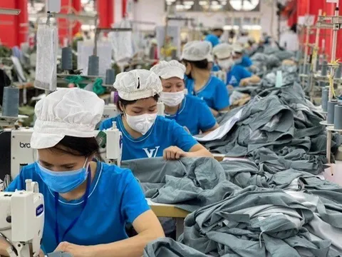 Thu thập thông tin thị trường lao động từ 1/8