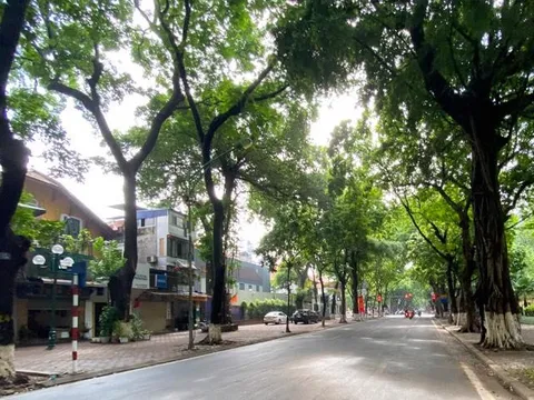 Dự báo thời tiết 8/8: Hà Nội giảm mưa, nhiệt độ tăng nhẹ