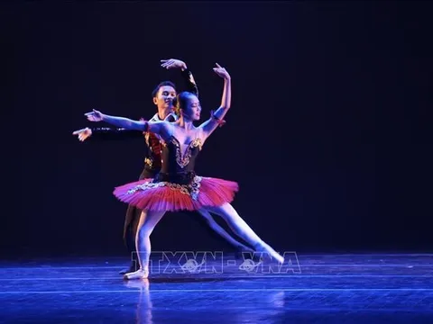 Nghệ sĩ và ý thức giữ gìn hình ảnh quốc gia