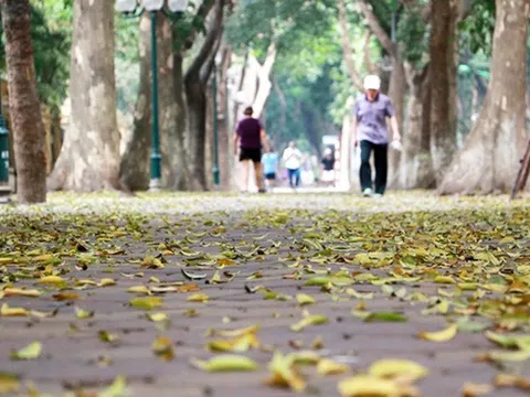 Dự báo thời tiết 9/11: Hà Nội ngày nắng, đêm và sáng trời lạnh