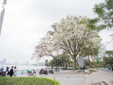 Dự báo thời tiết 13/12: Hà Nội sáng sớm có sương mù, ngày nắng. Trời rét