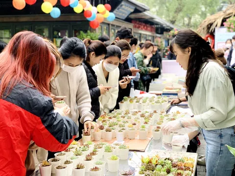 Dấu ấn qua 1 năm phát động và triển khai dự án Khuyến đọc Việt Nam