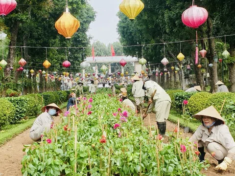 Không gian xanh tại Công viên Thống Nhất - Thành quả từ những bàn tay cần cù, sáng tạo