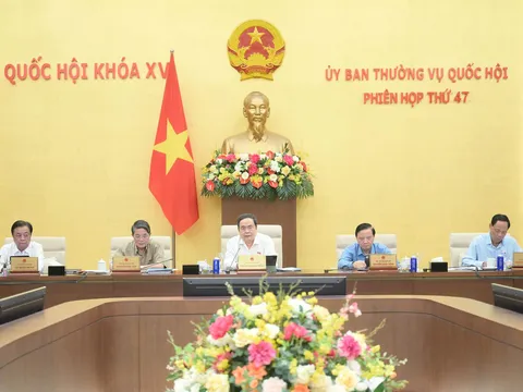 Đồng thuận cao với cải cách hành chính, cử tri kỳ vọng vào đổi mới và phát triển