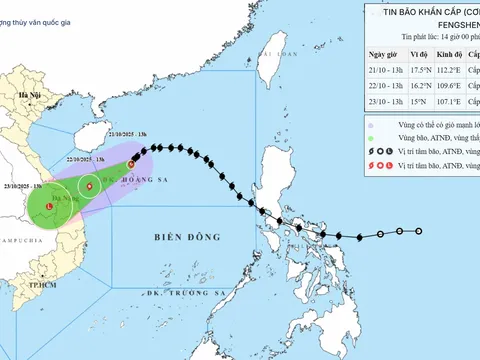 Bão số 12 di chuyển phức tạp, cảnh báo mưa đặc biệt lớn ở Trung Bộ