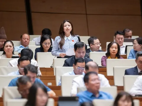 Đại biểu Quốc hội: “Nhiều giáo viên sợ lên lớp vì áp lực và bạo lực học đường”