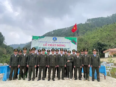 Thái Nguyên: Không ngừng nỗ lực nâng cao năng lực quản lý, bảo vệ rừng