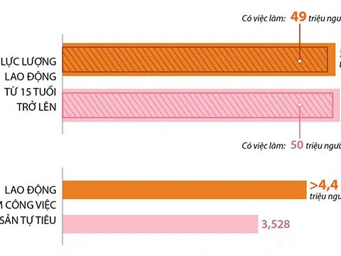 [Infographic] Năm 2021: Cả nước có 50,5 triệu lao động từ 15 tuổi trở lên