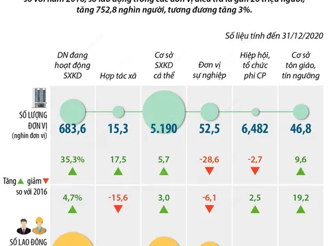 [infographic] Tổng điều tra kinh tế năm 2021: Số doanh nghiệp và lực lượng lao động duy trì mức tăng