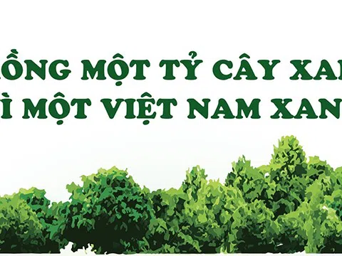 [Infographic] Trồng một tỷ cây xanh - Vì một Việt Nam xanh