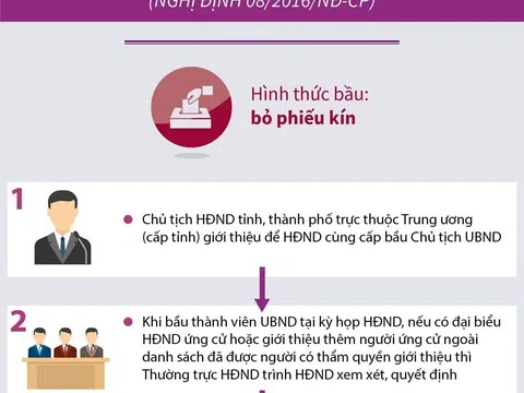 (Infographic) Trình tự, thủ tục bầu Chủ tịch UBND tỉnh, thành phố trực thuộc Trung ương