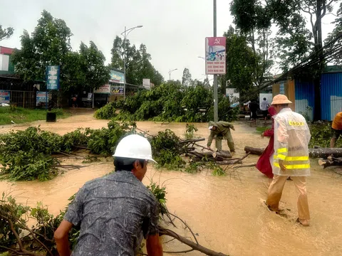 Lâm Đồng: Mưa lớn kèm giông lốc khiến nhiều nhà dân bị tốc mái, cây xanh ngã đổ và sạt lở nghiêm trọng