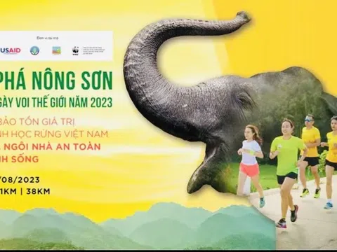 Sắp diễn ra giải chạy marathon 'Khám phá Nông Sơn' năm 2023