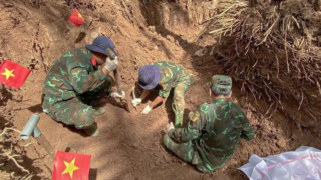 Tìm kiếm hài cốt liệt dưới những gốc dừa