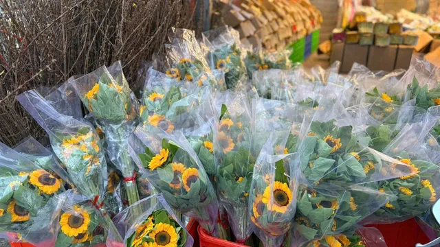 Nhộn nhịp chợ hoa Quảng An trước ngày 8/3